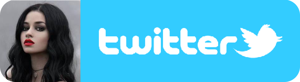 Pamiętnik lesbijki na TWITTER